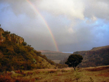 Komati Gorge Lodge, Rainbow, Nature, Tree, Plant, Wood