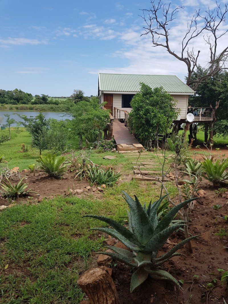 Komatipoort River House Komatipoort Mpumalanga South Africa Complementary Colors, Palm Tree, Plant, Nature, Wood, Garden