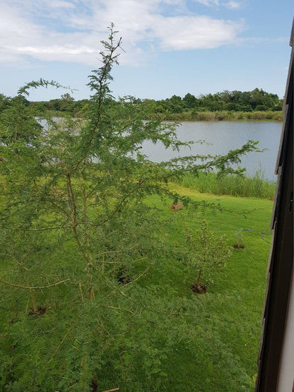 Komatipoort River House Komatipoort Mpumalanga South Africa Lake, Nature, Waters, River, Tree, Plant, Wood