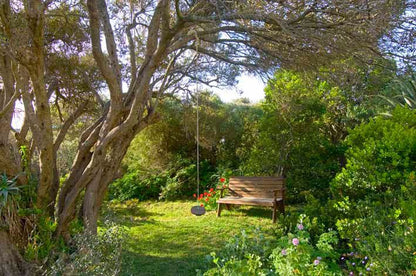 Milkwood Studio Kommetjie Cape Town Western Cape South Africa Plant, Nature, Tree, Wood, Garden