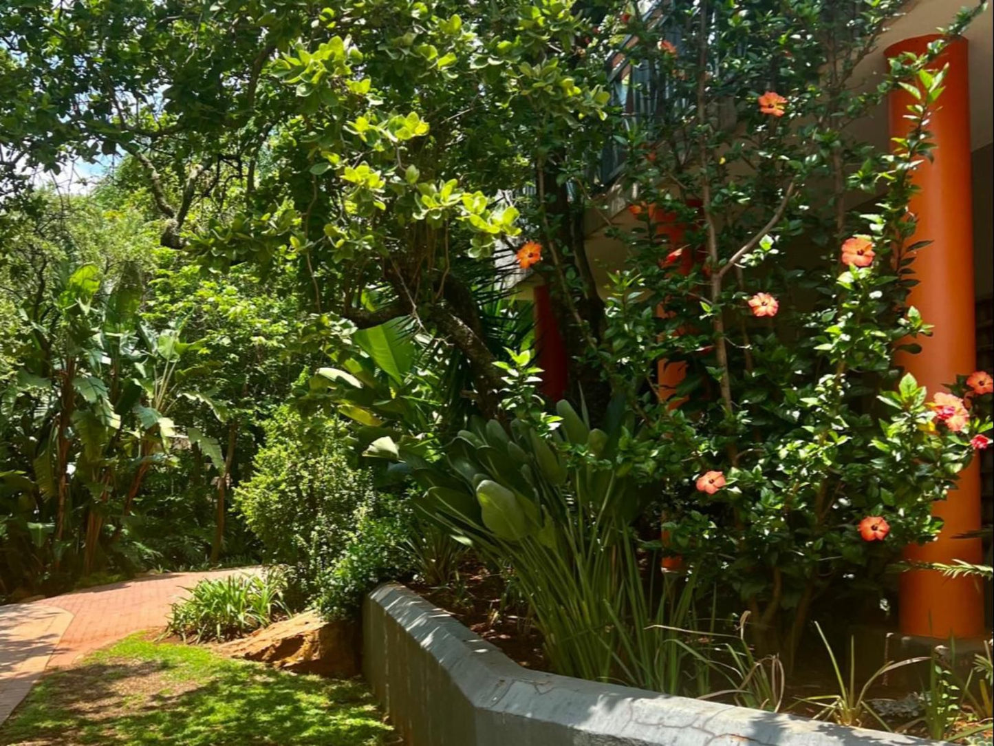 Koru Guesthouse, Plant, Nature, Garden