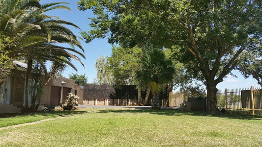 Kosh Bandb Klerksdorp North West Province South Africa House, Building, Architecture, Palm Tree, Plant, Nature, Wood