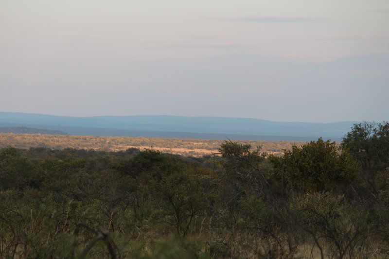 Koshari Game Ranch Vaalwater Limpopo Province South Africa Lowland, Nature