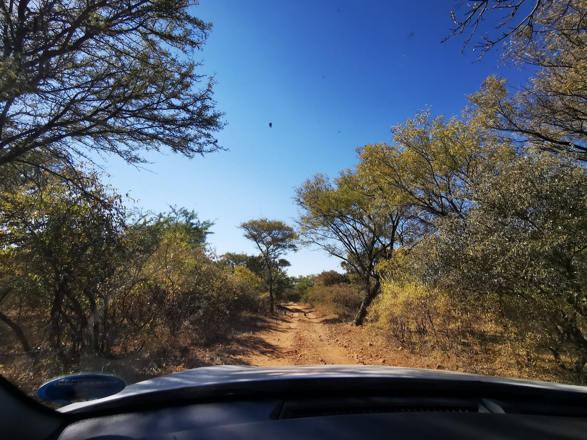 Koshari Game Ranch Vaalwater Limpopo Province South Africa Lowland, Nature, Street, Car, Vehicle