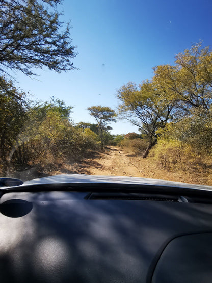 Koshari Game Ranch Vaalwater Limpopo Province South Africa Forest, Nature, Plant, Tree, Wood, Street, Car, Vehicle