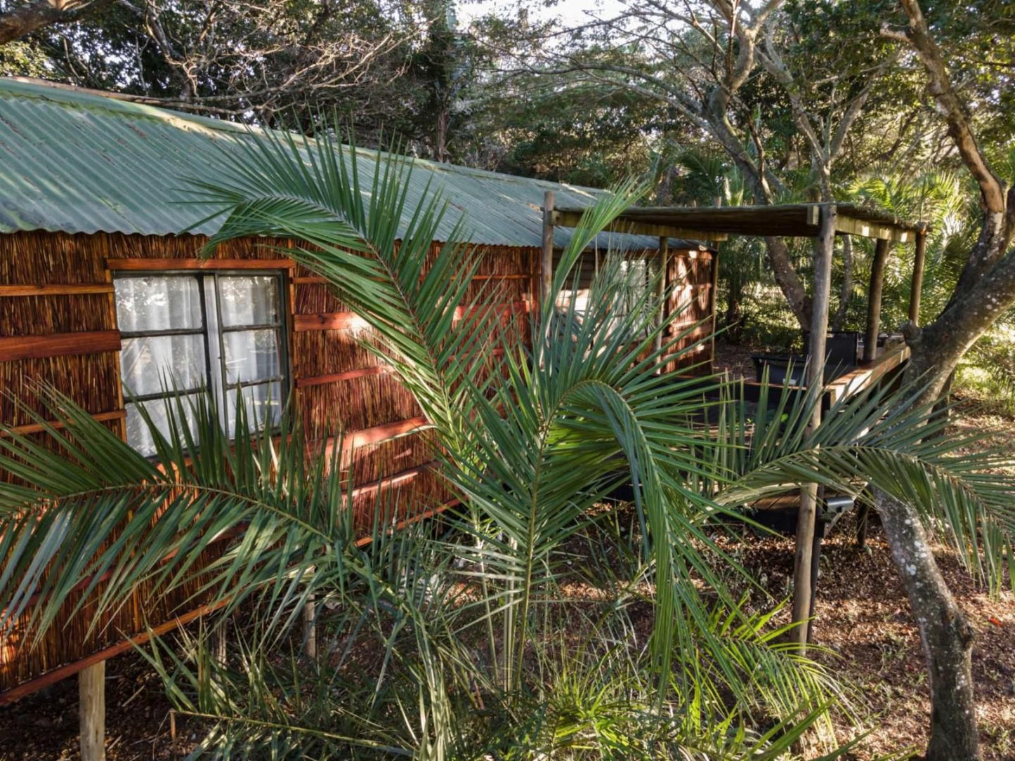 Kosi Bay Casitas Kosi Bay Kwazulu Natal South Africa Palm Tree, Plant, Nature, Wood, Garden