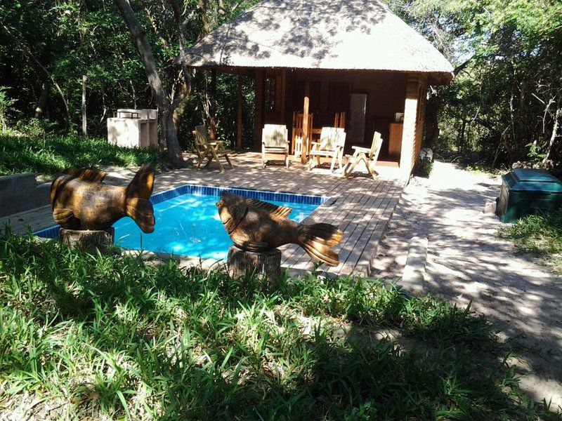 Kosi Bay Lodge Private Chalets Kosi Bay Kwazulu Natal South Africa Dog, Mammal, Animal, Pet