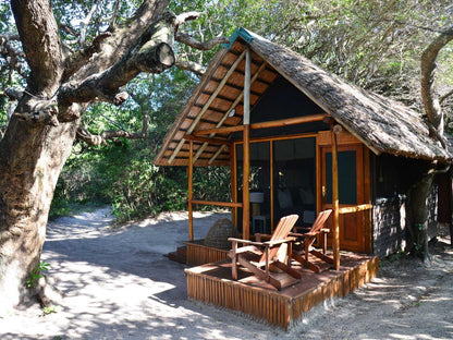 Double Room - excluding levies @ Kosi Forest Lodge