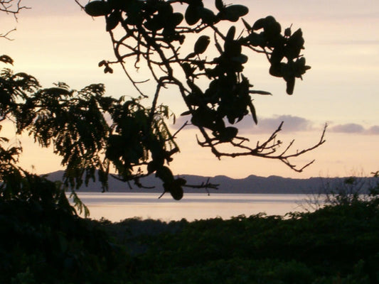 Kosi Moon Bed And Breakfast Kosi Bay Kwazulu Natal South Africa Silhouette, Sky, Nature, Sunset