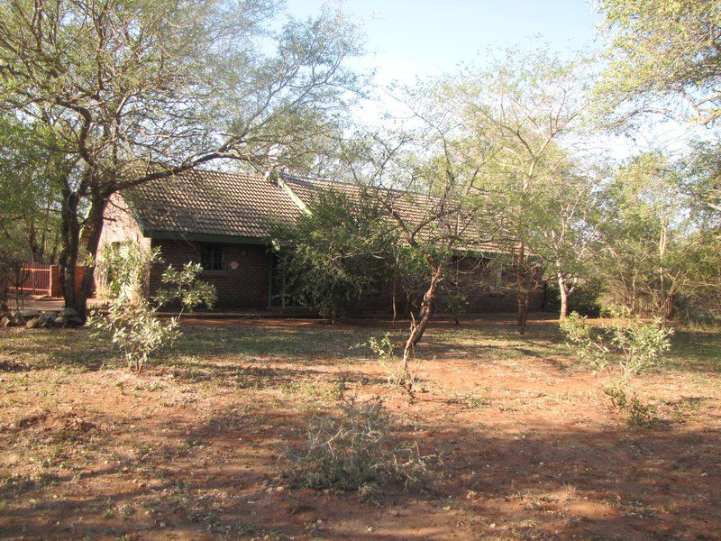 Kotje Van Ketje Marloth Park Mpumalanga South Africa 