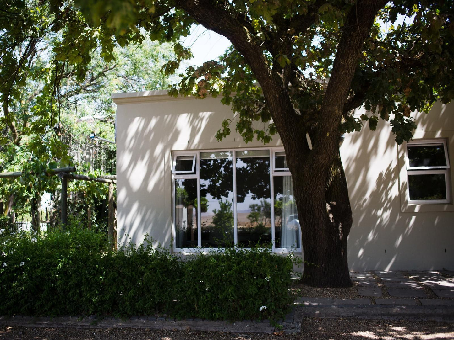 Doran Vineyards Paarl Farms Paarl Western Cape South Africa House, Building, Architecture, Window