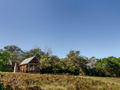 Warthog Cabin - Self-Catering @ Kragga Kamma Game Park