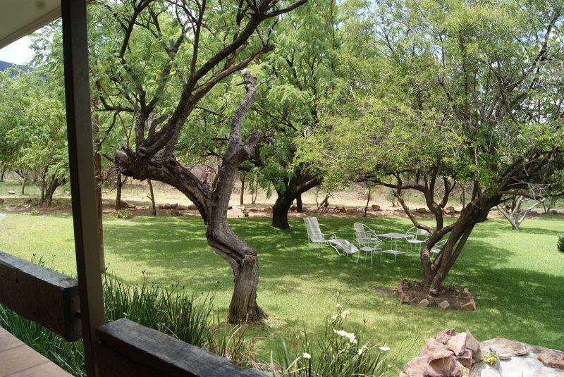 Kransberg Country Lodge Guest Farm Thabazimbi Limpopo Province South Africa Plant, Nature, Tree, Wood