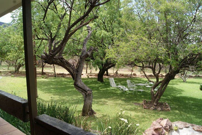 Kransberg Country Lodge Guest Farm Thabazimbi Limpopo Province South Africa Plant, Nature, Tree, Wood
