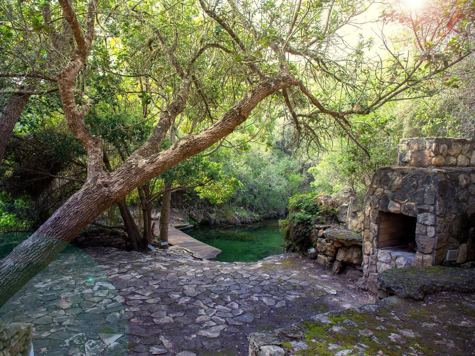 Kransfontein Stilbaai Western Cape South Africa River, Nature, Waters, Ruin, Architecture, Tree, Plant, Wood