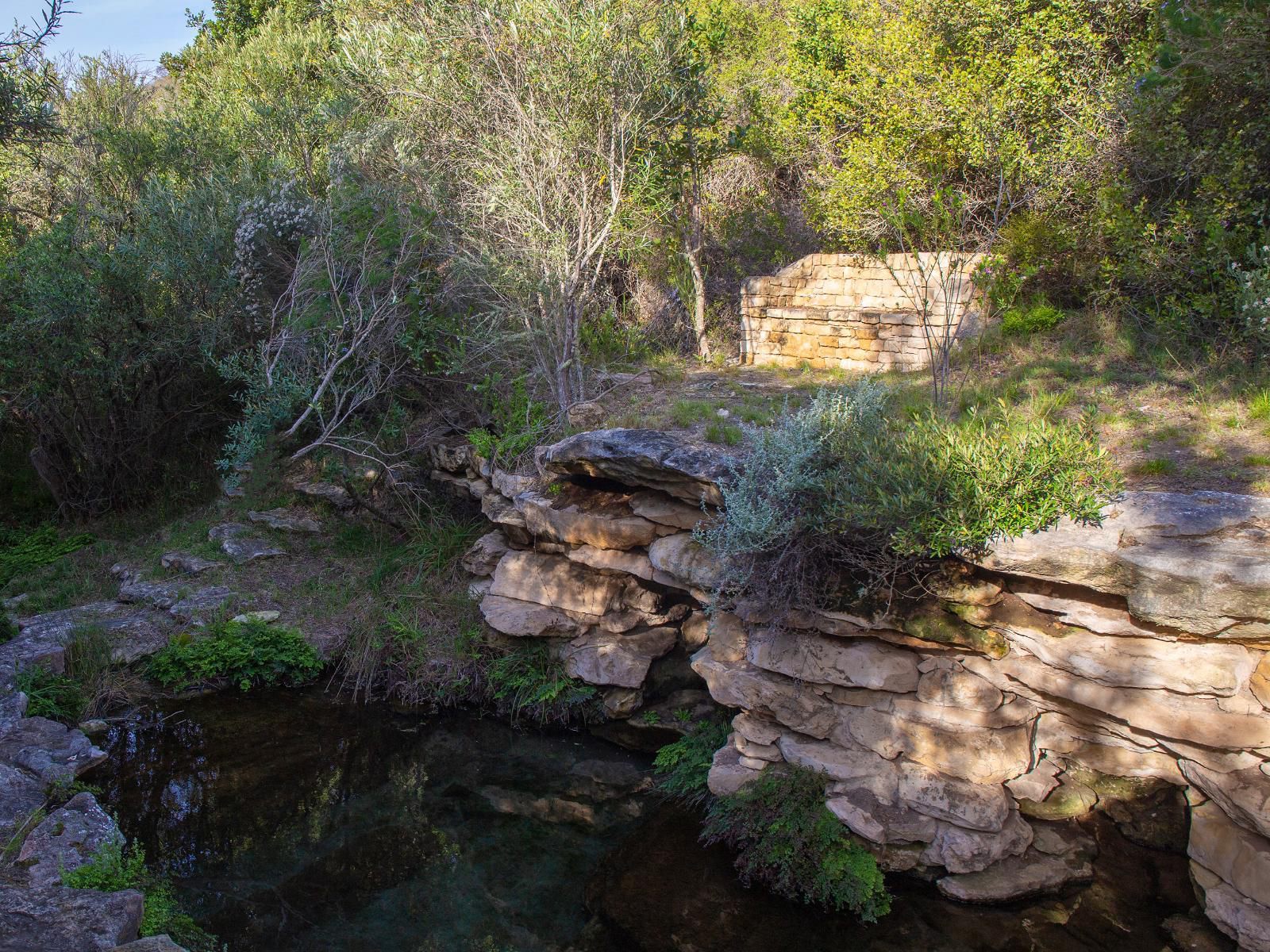 Kransfontein Stilbaai Western Cape South Africa River, Nature, Waters