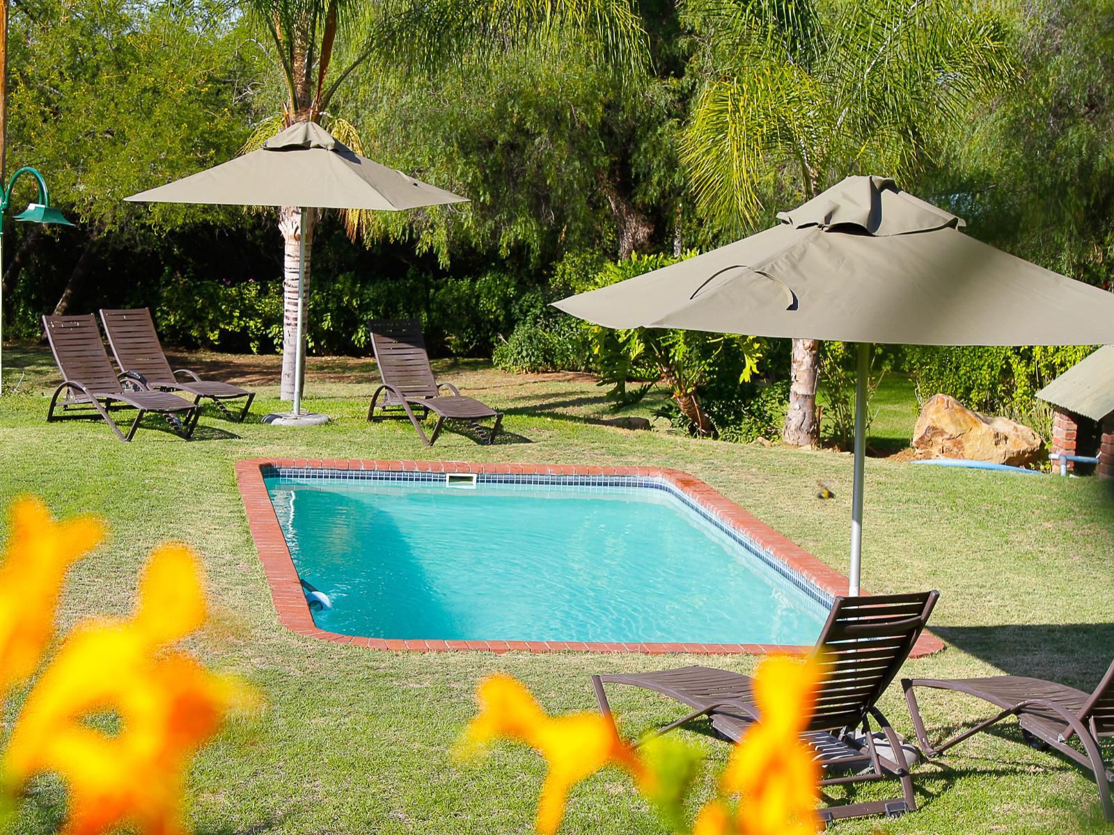 Kranskloof Country Lodge Oudtshoorn Western Cape South Africa Garden, Nature, Plant, Swimming Pool