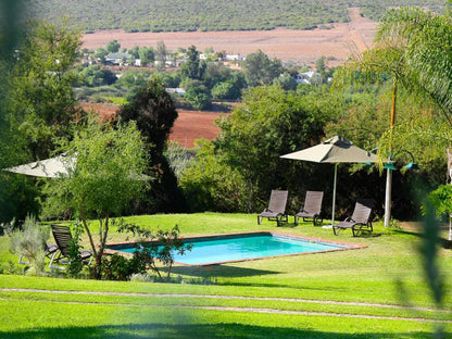 Kranskloof Country Lodge Oudtshoorn Western Cape South Africa Garden, Nature, Plant, Swimming Pool