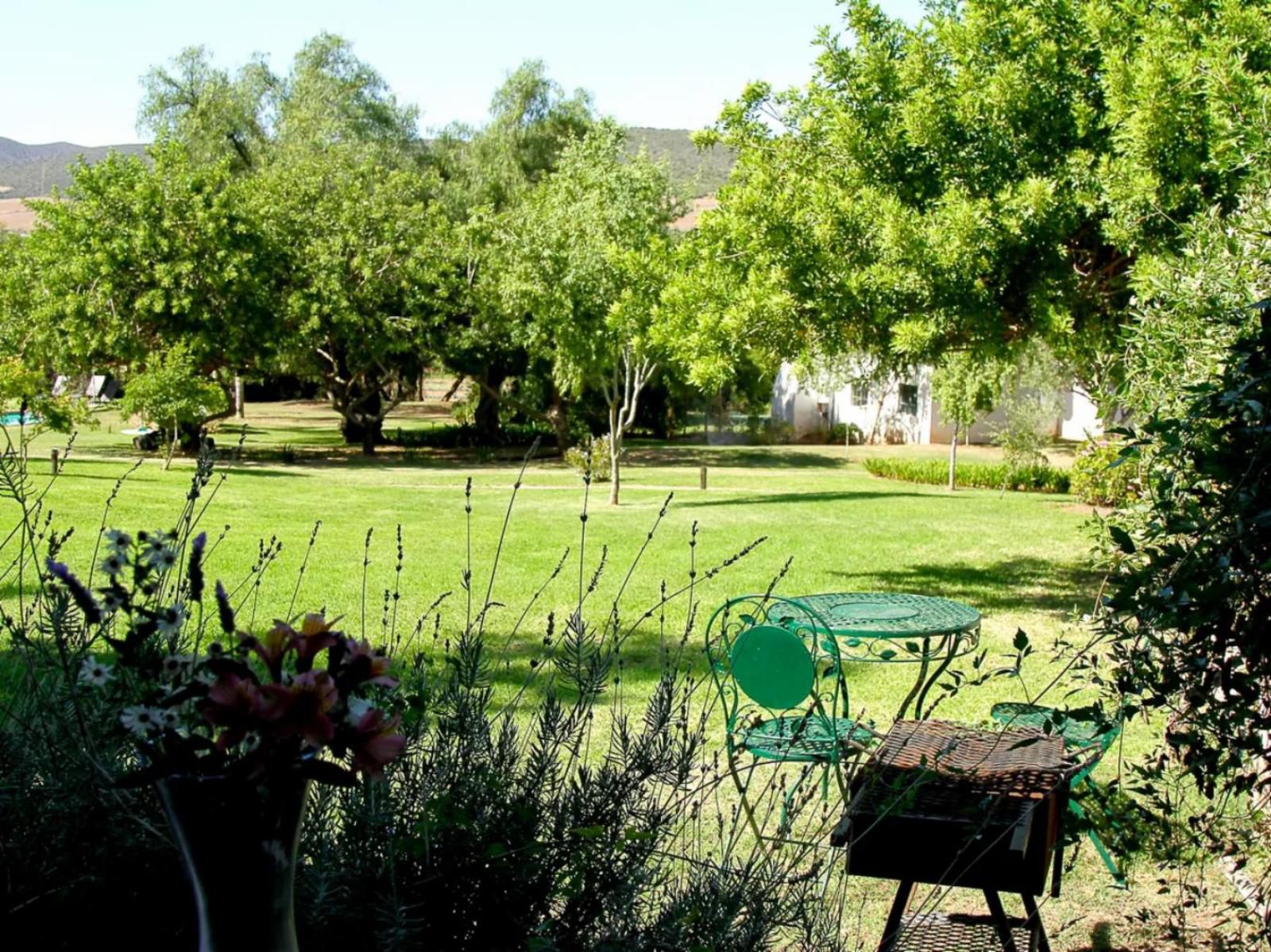 Kranskloof Country Lodge Oudtshoorn Western Cape South Africa Plant, Nature, Garden