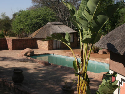 Kranskop Lodge Modimolle Nylstroom Limpopo Province South Africa Garden, Nature, Plant, Swimming Pool