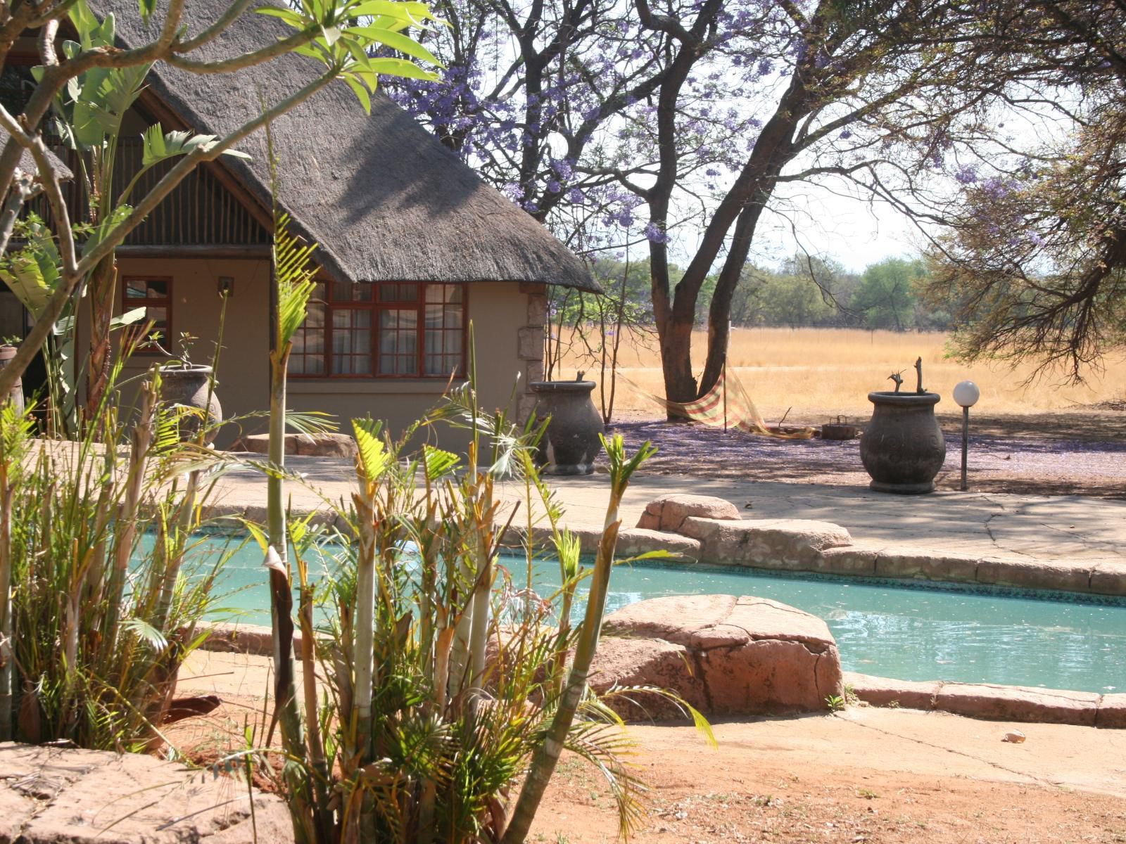 Kranskop Lodge Modimolle Nylstroom Limpopo Province South Africa Swimming Pool
