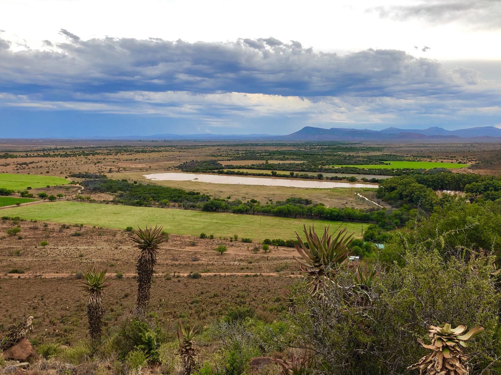 Kransplaas Graaff Reinet Eastern Cape South Africa Lowland, Nature