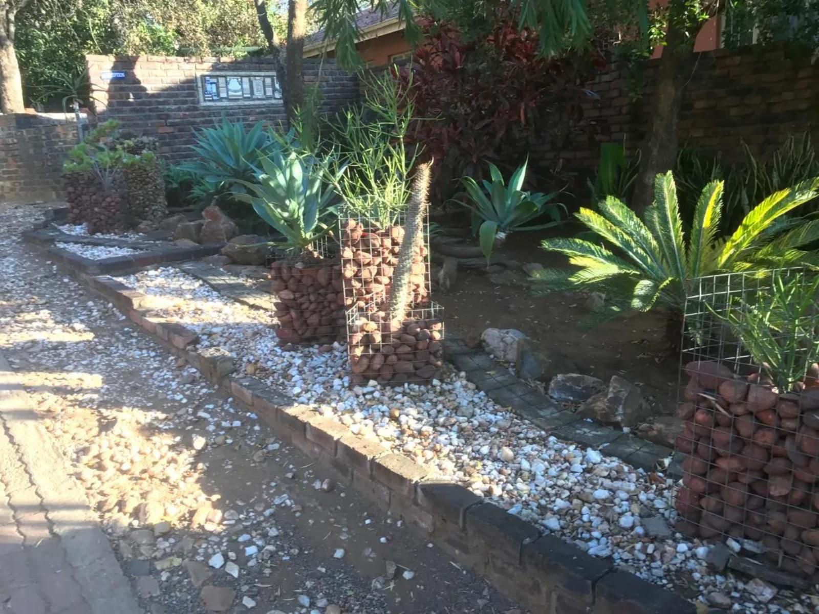 Kremetart Guesthouse Giyani Limpopo Province South Africa Cactus, Plant, Nature, Palm Tree, Wood, Garden