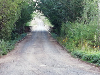 Kretskor Estate T A Tollinn Guest Farm Aliwal North Eastern Cape South Africa Leading Lines, Street