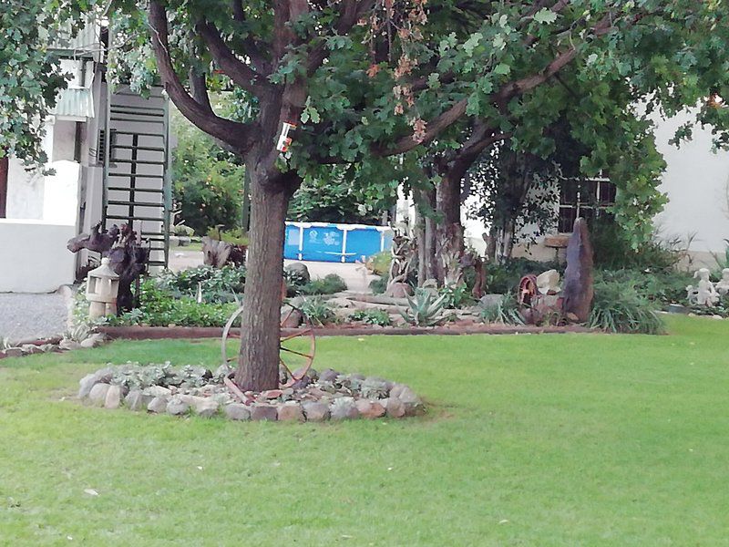 Kretskor Estate T A Tollinn Guest Farm Aliwal North Eastern Cape South Africa Palm Tree, Plant, Nature, Wood, Garden