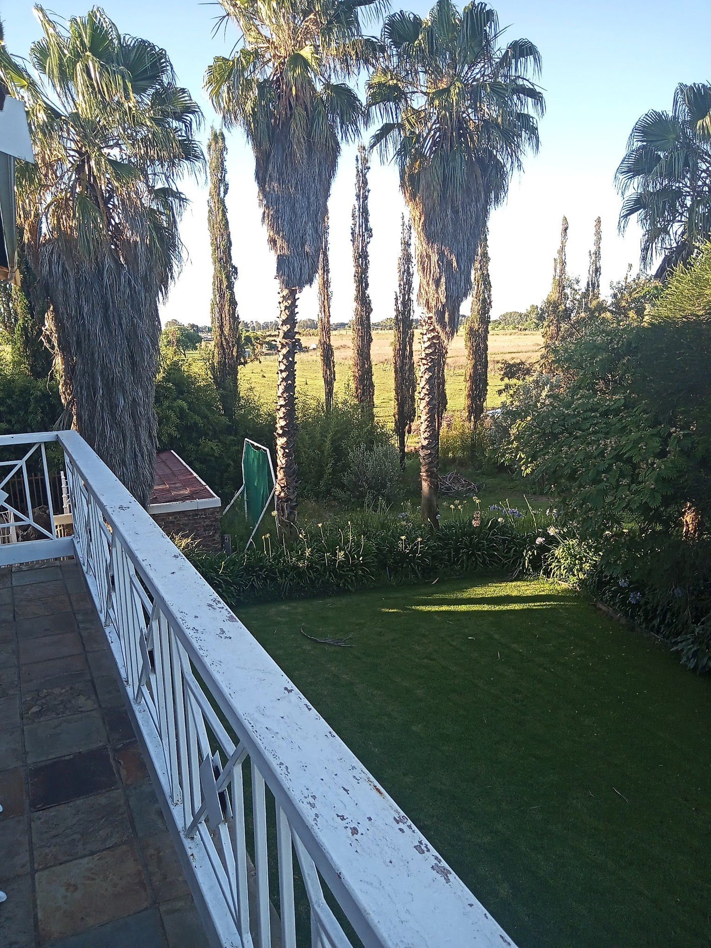 Krige Lodge Bandb Bainsvlei Bloemfontein Free State South Africa Palm Tree, Plant, Nature, Wood, Garden