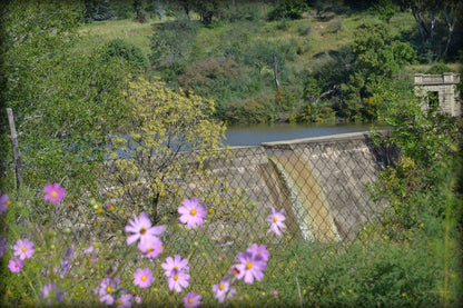 Krith Guest House And Self Catering Bethlehem Free State South Africa Meadow, Nature, Plant, River, Waters, Garden