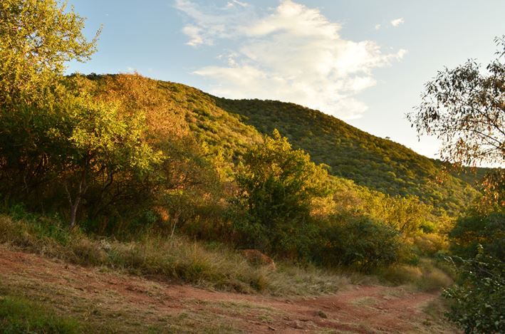 Krokodilpoort Lodge Brits North West Province South Africa Nature