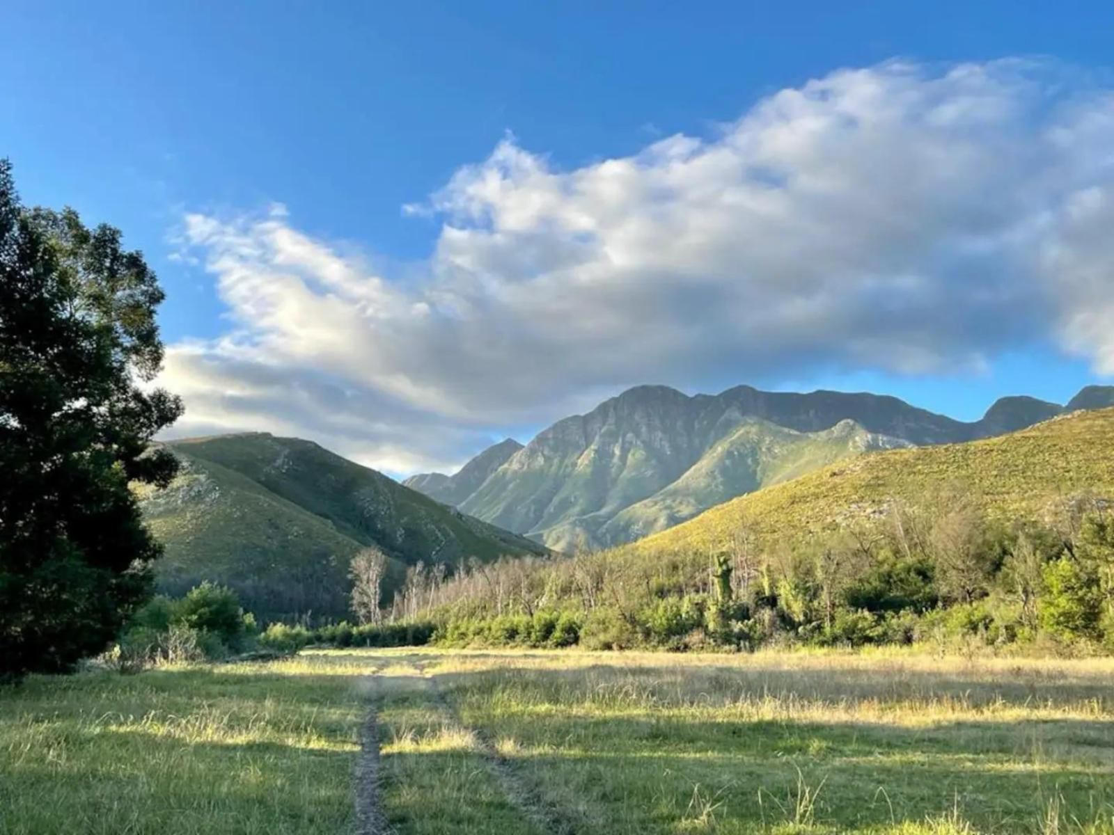 Kromrivier Farm Accommodation Greyton Western Cape South Africa Complementary Colors, Mountain, Nature, Highland