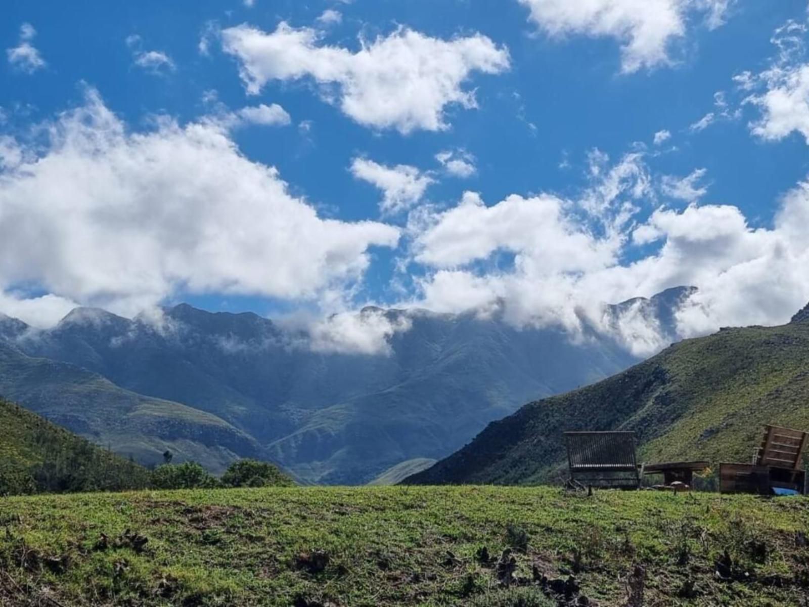 Kromrivier Farm Accommodation Greyton Western Cape South Africa Mountain, Nature, Highland