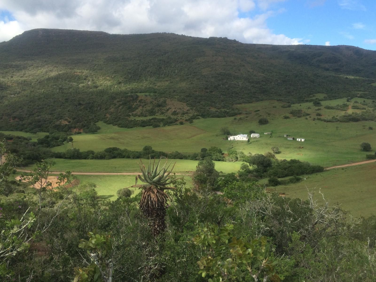 Kromrivier Farm Stays Accommodation And Camping Venue Addo Elephant National Park Eastern Cape South Africa Highland, Nature