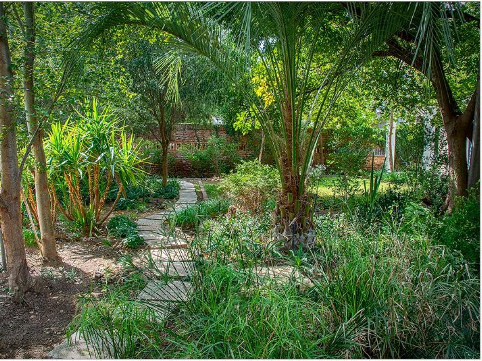 Kroon Manor Panorama Kroonstad Kroonstad Free State South Africa Palm Tree, Plant, Nature, Wood, Garden