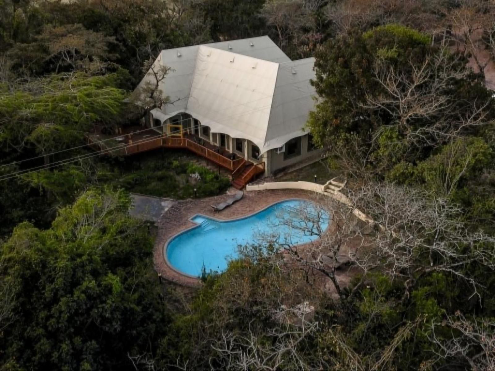 Kruger Adventure Lodge Hazyview Mpumalanga South Africa Garden, Nature, Plant, Swimming Pool