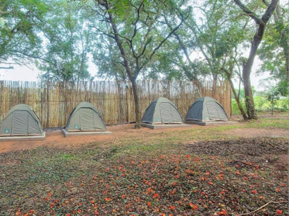 Kruger Adventure Lodge Hazyview Mpumalanga South Africa Tent, Architecture