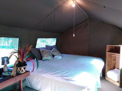 Kruger Andova Tented Camp Andover Nature Reserve Mpumalanga South Africa Tent, Architecture, Bedroom