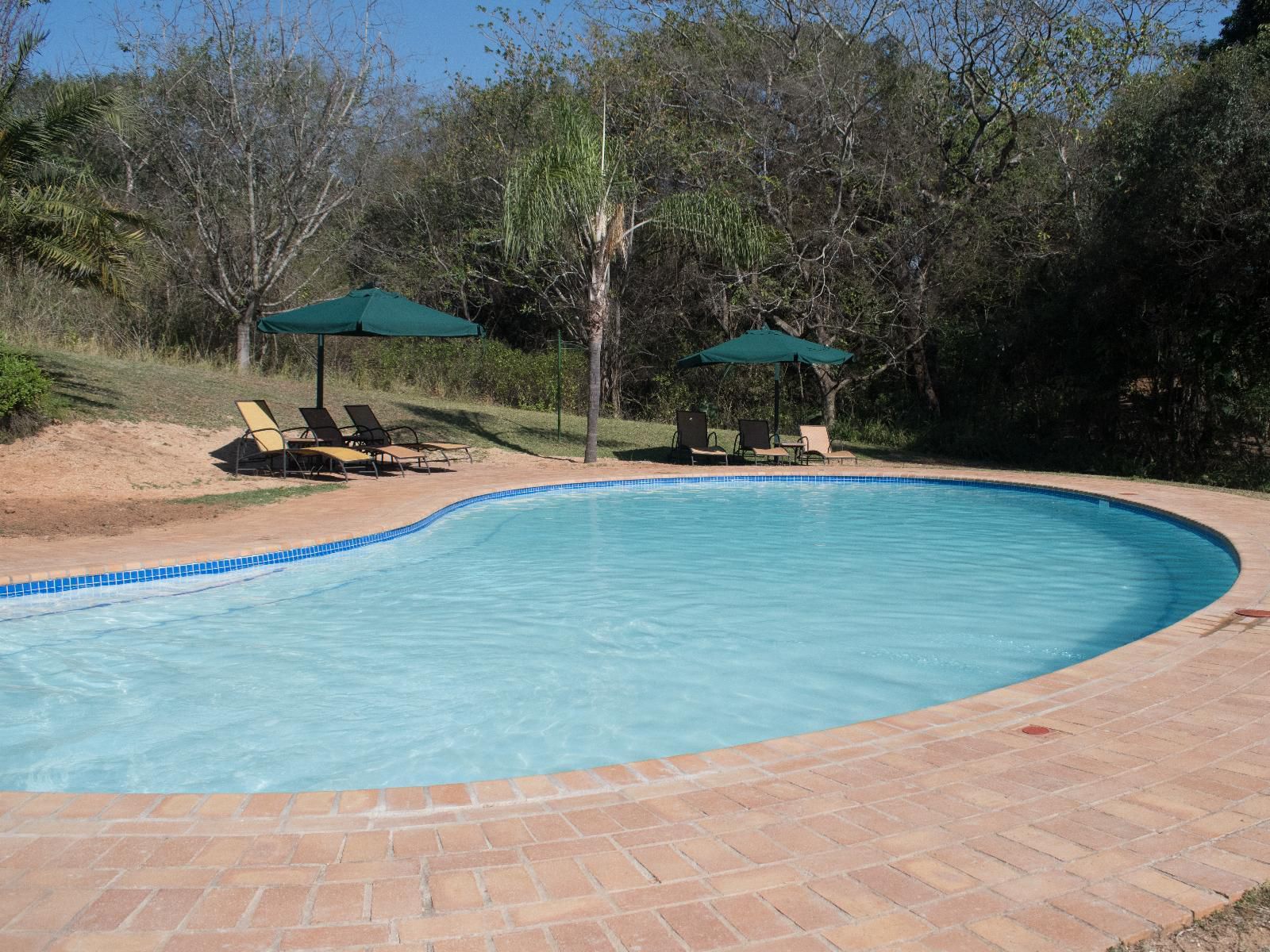 Kruger Park Lodge Unit 245 Hazyview Mpumalanga South Africa Complementary Colors, Swimming Pool