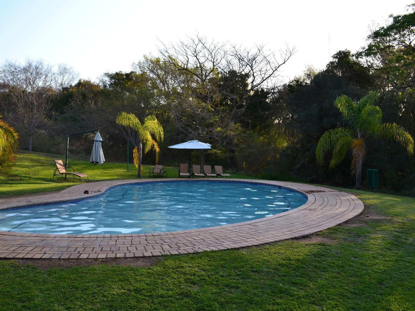 Kruger Park Lodge - Golf Safari Sa, Palm Tree, Plant, Nature, Wood, Garden, Swimming Pool