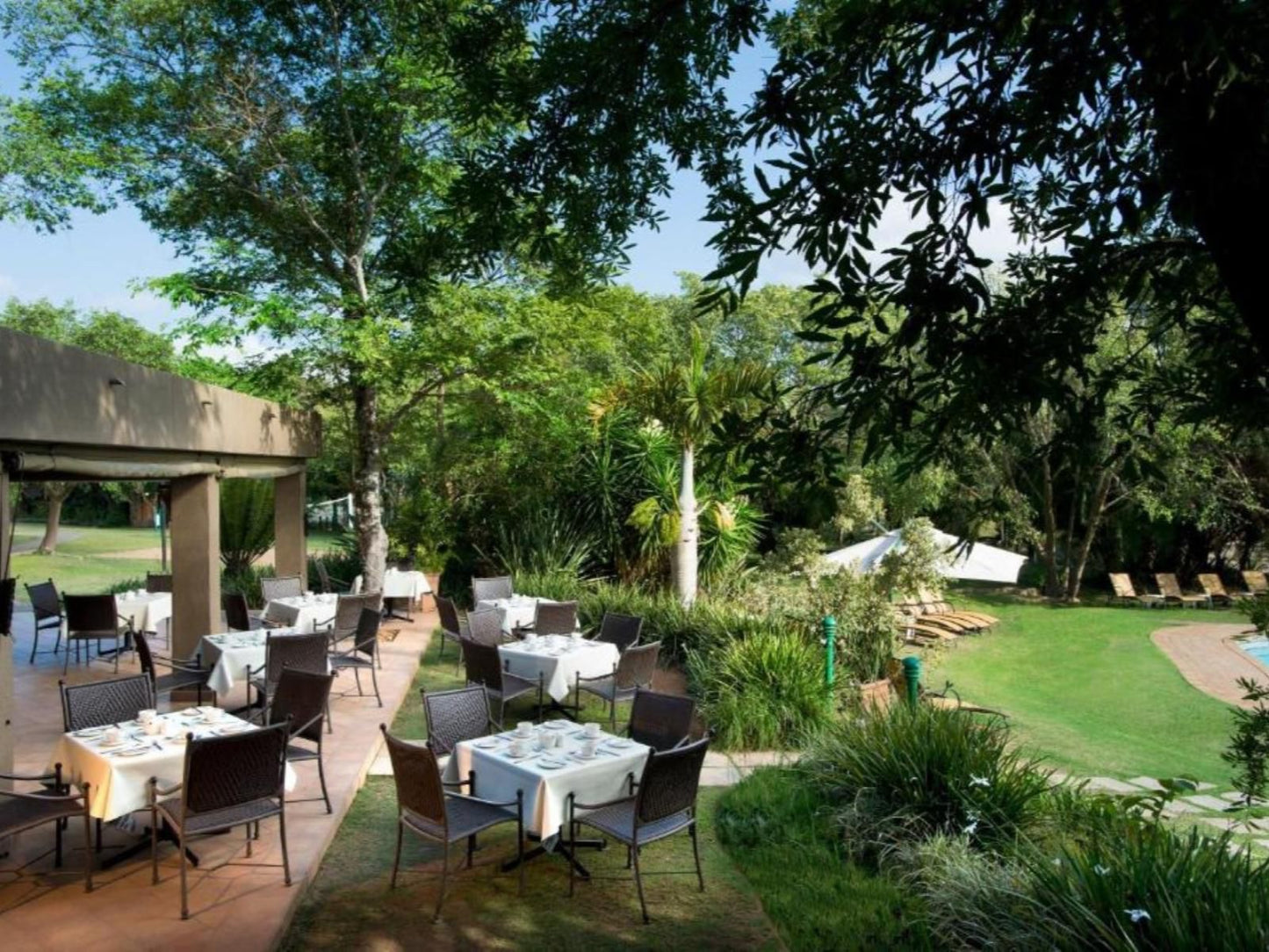 Kruger Park Lodge, Palm Tree, Plant, Nature, Wood, Garden, Swimming Pool