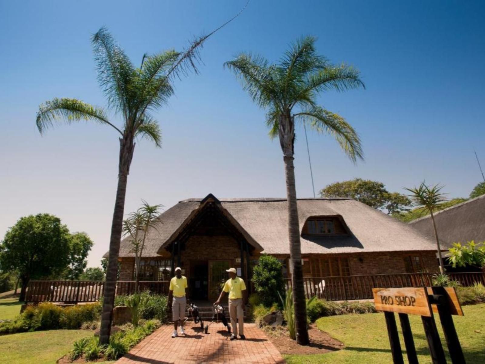 Kruger Park Lodge, Palm Tree, Plant, Nature, Wood, Person