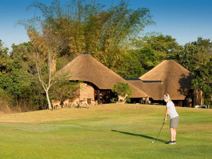 Kruger Park Lodge, 4 Bedroom Chalet, Golfing, Ball Game, Sport, Person