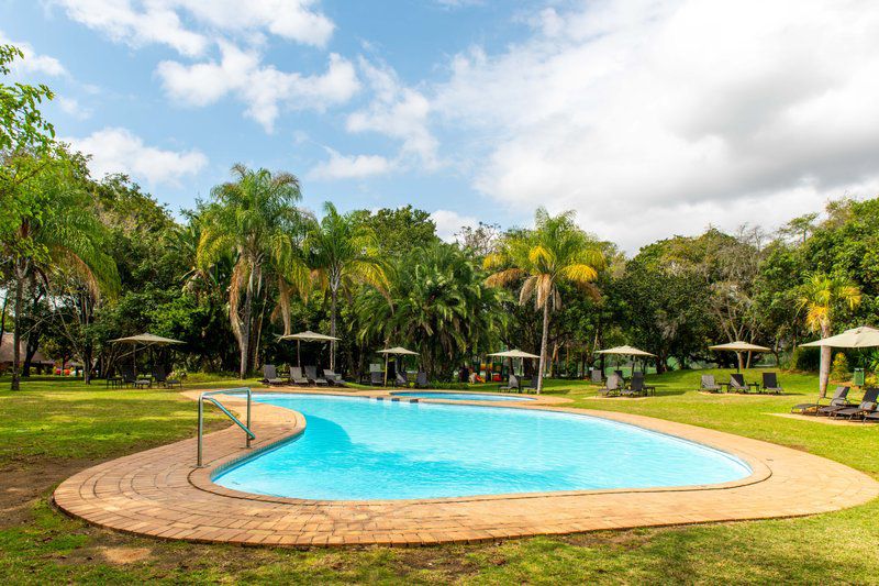 Kruger Park Lodge Unit No 239 Hazyview Mpumalanga South Africa Complementary Colors, Beach, Nature, Sand, Palm Tree, Plant, Wood, Swimming Pool