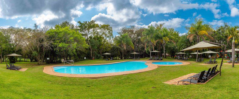 Kruger Park Lodge Unit No 239 Hazyview Mpumalanga South Africa Complementary Colors, Palm Tree, Plant, Nature, Wood, Swimming Pool