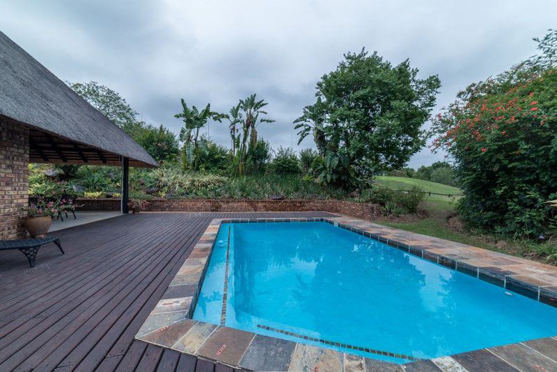 Kruger Park Lodge Unit No 441 Hazyview Mpumalanga South Africa Garden, Nature, Plant, Swimming Pool