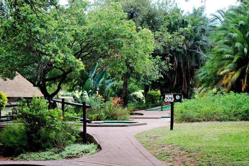 Kruger Park Lodge Unit No 441 Hazyview Mpumalanga South Africa Palm Tree, Plant, Nature, Wood, Garden