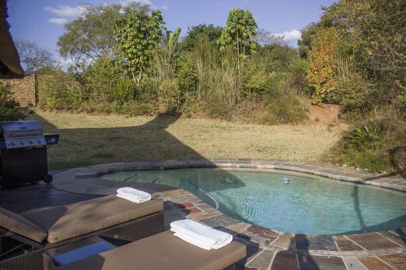 Kruger Park Lodge Unit No 615 Hazyview Mpumalanga South Africa Garden, Nature, Plant, Swimming Pool