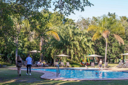 Kruger Park Lodge Unit No 547 Hazyview Mpumalanga South Africa Palm Tree, Plant, Nature, Wood, Swimming Pool, Person